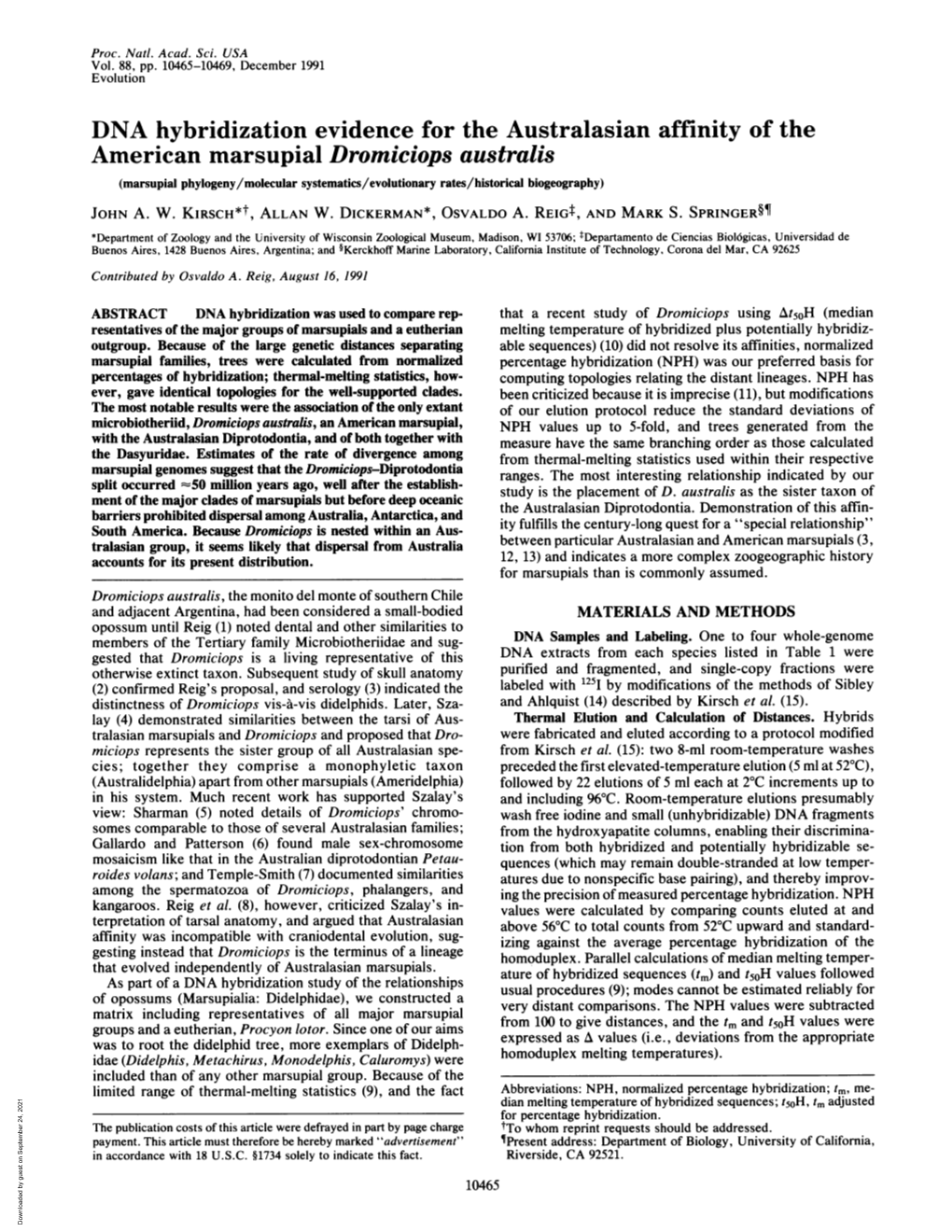 DNA Hybridization Evidence for the Australasian Affinity of the American