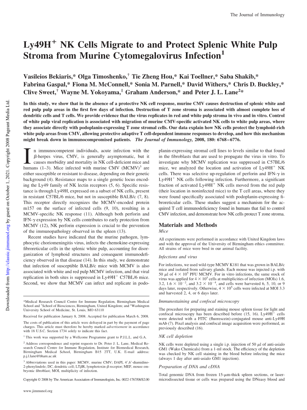 Cytomegalovirus Infection Splenic White Pulp Stroma from Murine NK