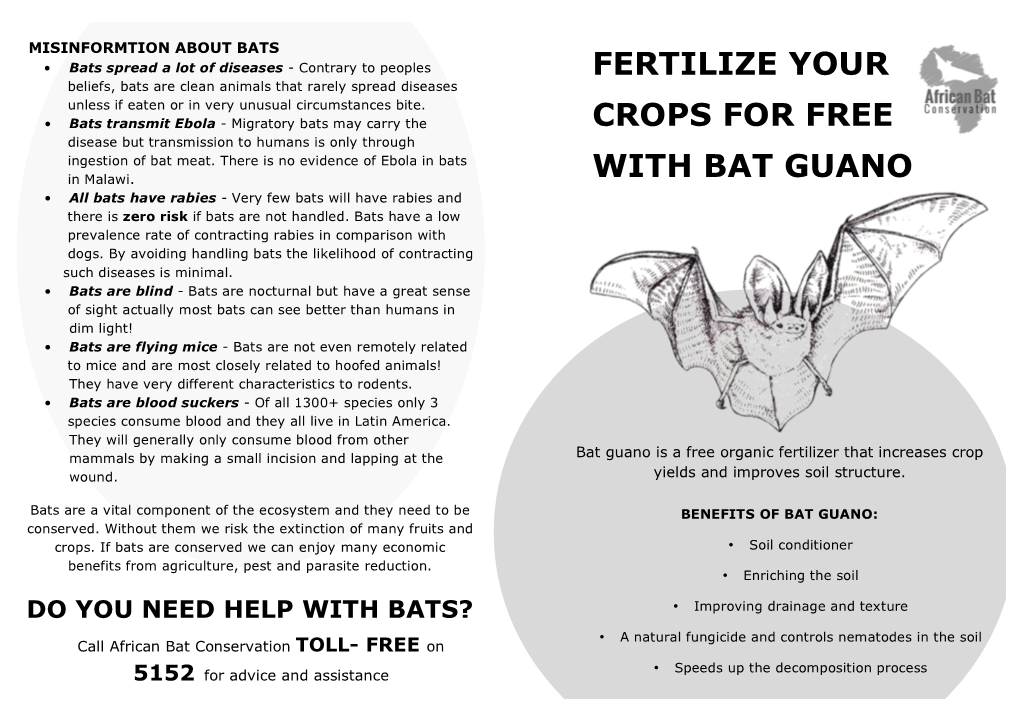 Fertilize Your Crops for Free with Bat Guano