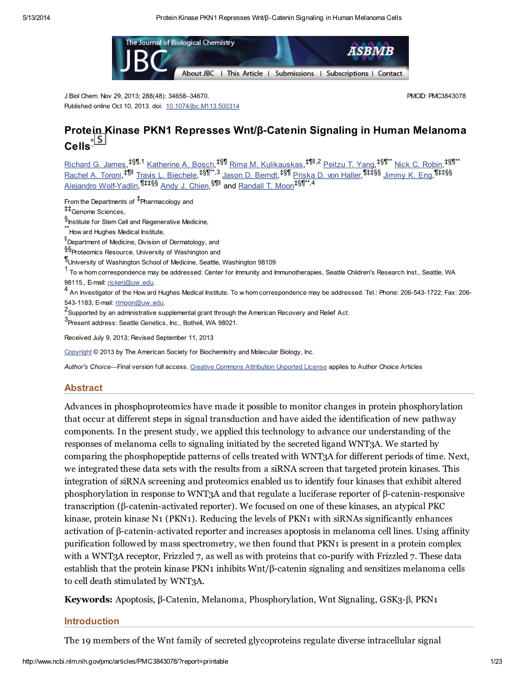 Protein Kinase PKN1 Represses Wnt/Β-Catenin Signaling in Human Melanoma Cells