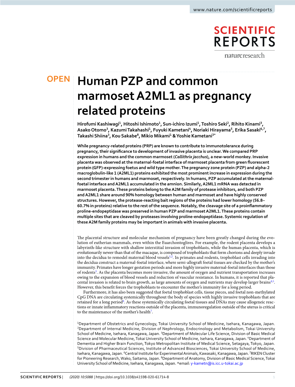 Human PZP and Common Marmoset A2ML1 As Pregnancy Related Proteins