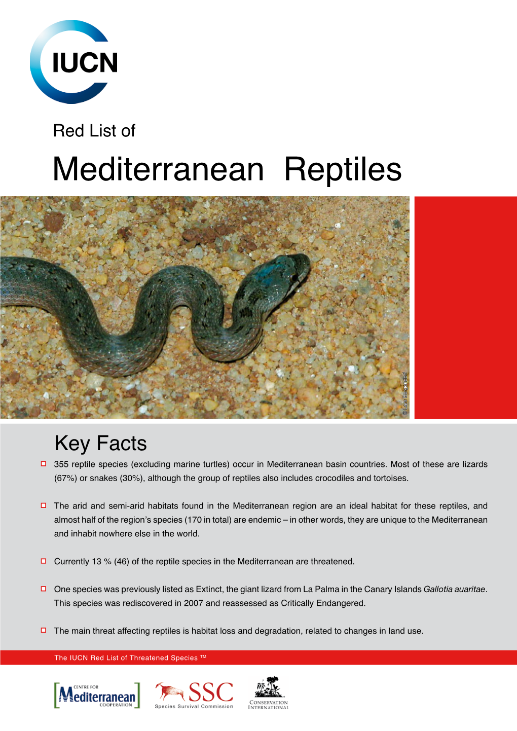 Red List of Mediterranean Reptiles © Lars Bergendorf
