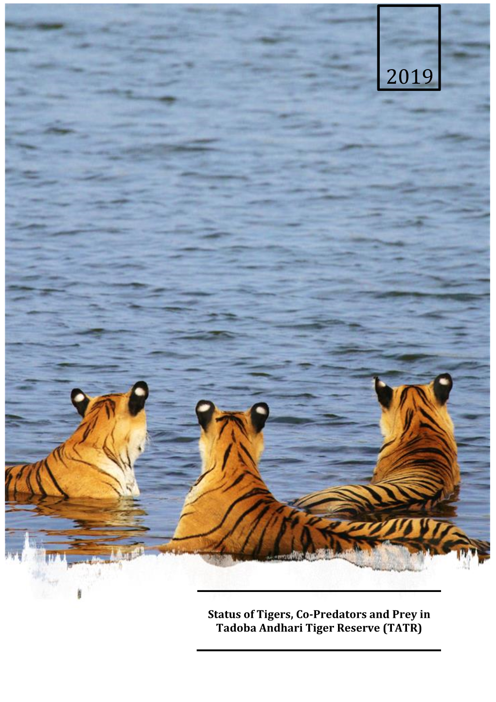 Status of Tigers, Co-Predators and Prey in Tadoba Andhari Tiger Reserve (TATR)