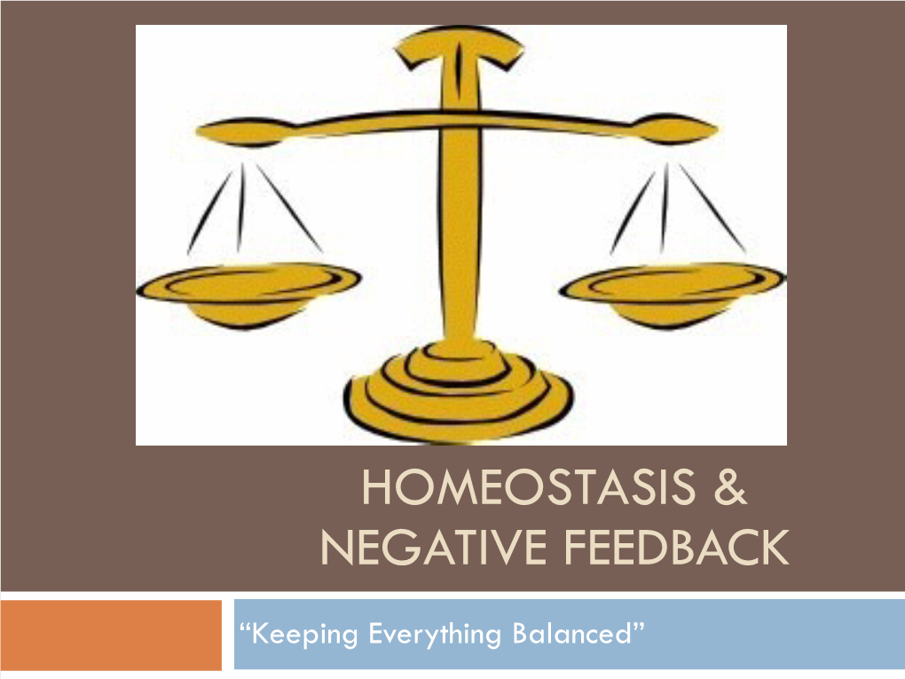 Homeostasis & Negative Feedback New Animation