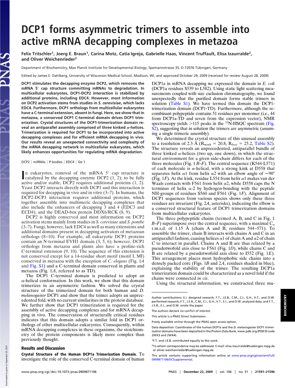 DCP1 Forms Asymmetric Trimers to Assemble Into Active Mrna Decapping Complexes in Metazoa