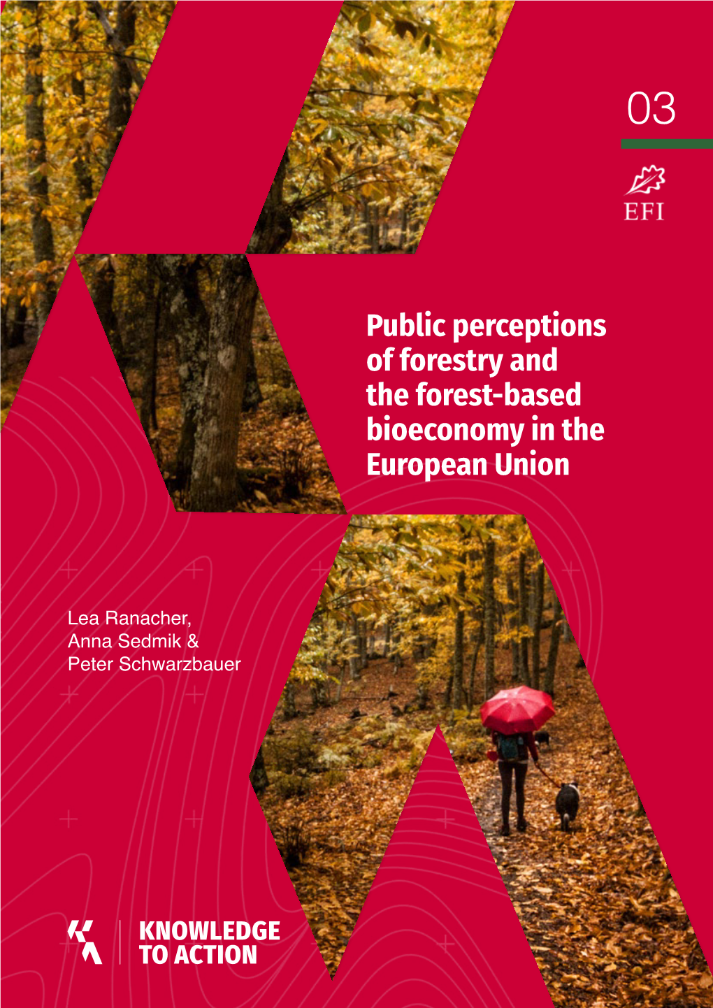 Public Perceptions of Forestry and the Forest-Based Bioeconomy in the European Union