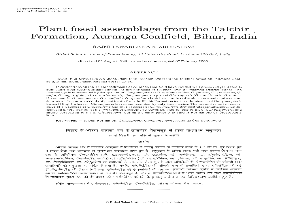 Plant Fossil Assemblage from the Talchir . Formation, Auranga Coalfield, Bihar, India
