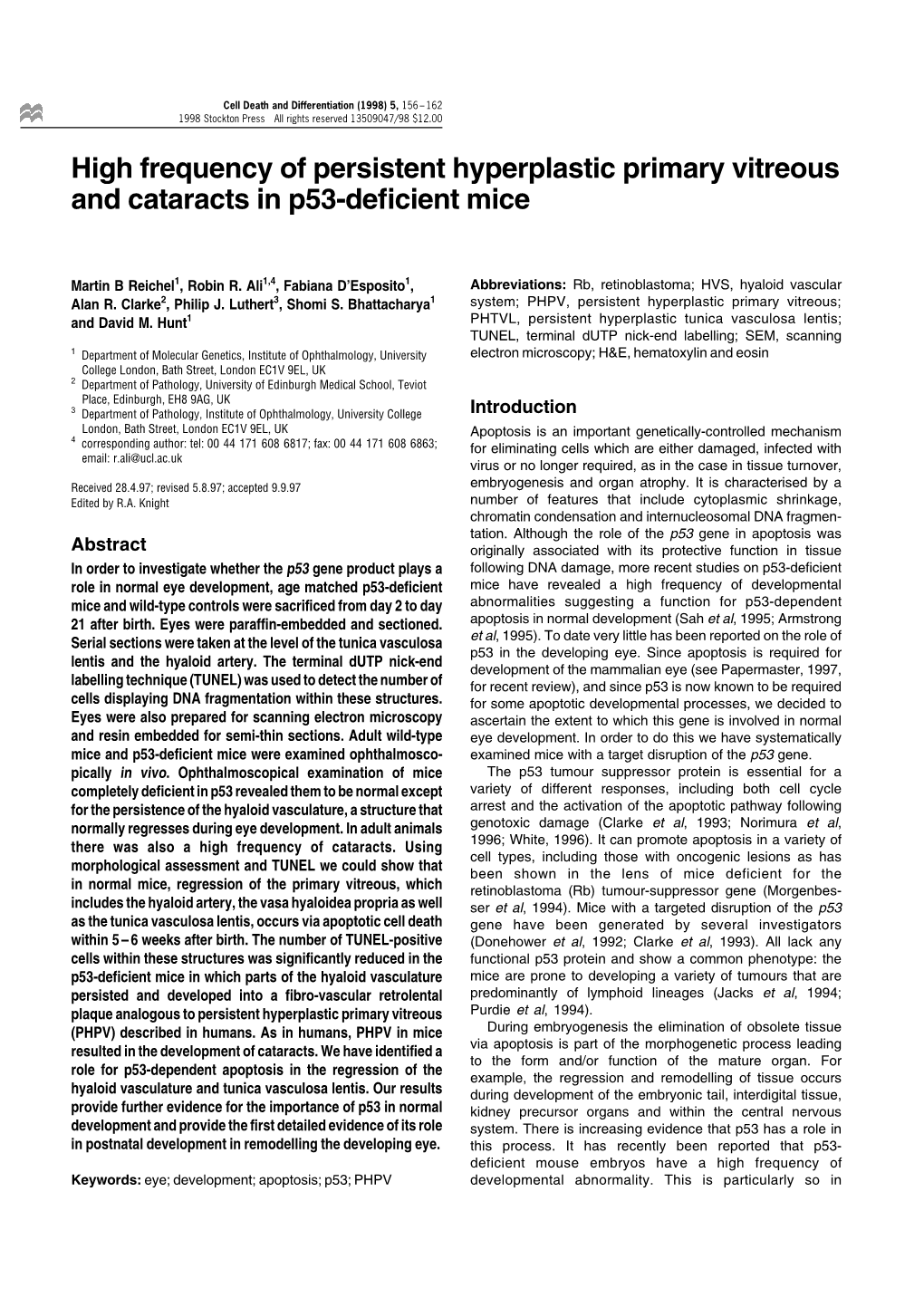 High Frequency of Persistent Hyperplastic Primary Vitreous and Cataracts in P53-De®Cient Mice