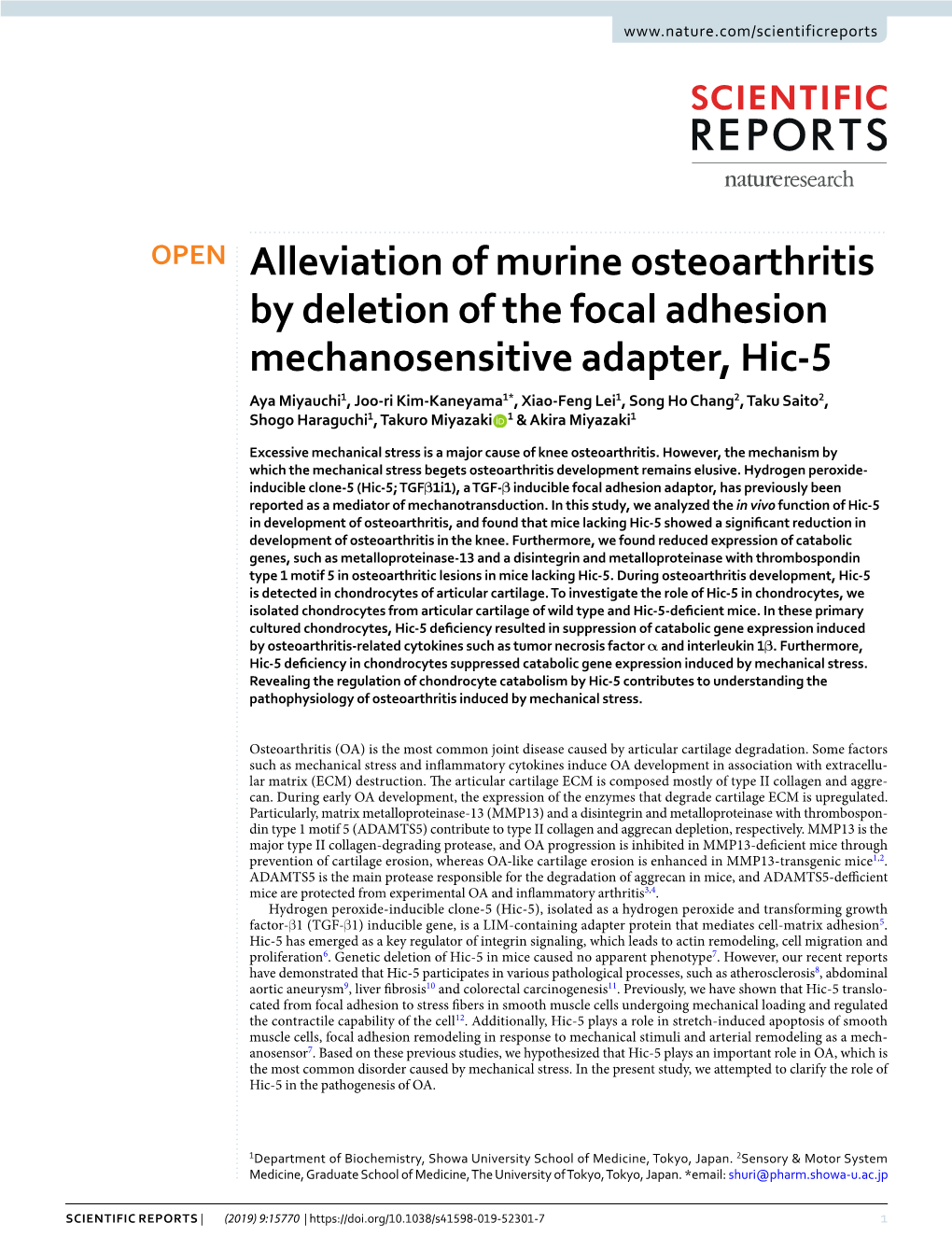 Alleviation of Murine Osteoarthritis by Deletion of the Focal Adhesion