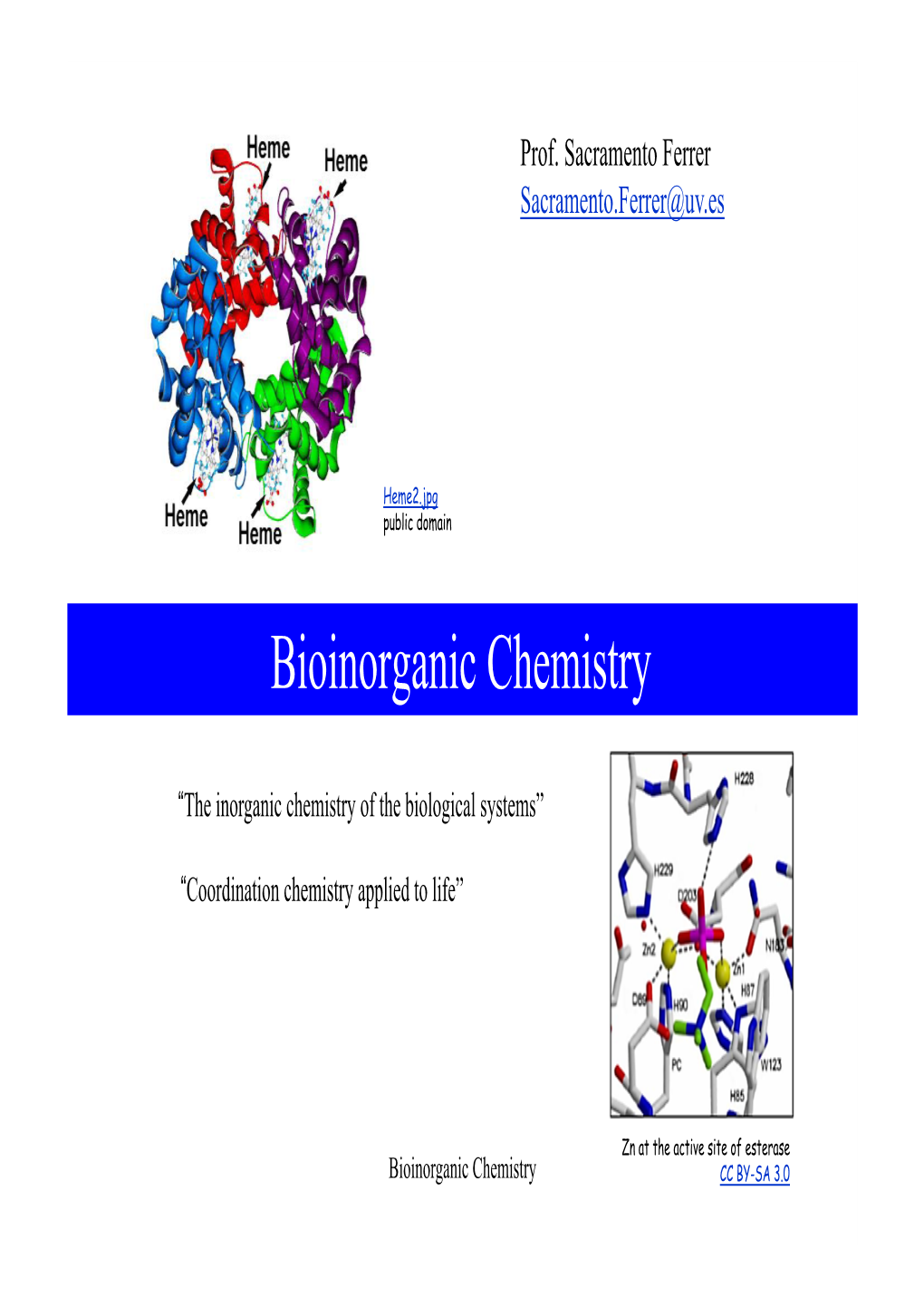 Bioinorganic Chemistry