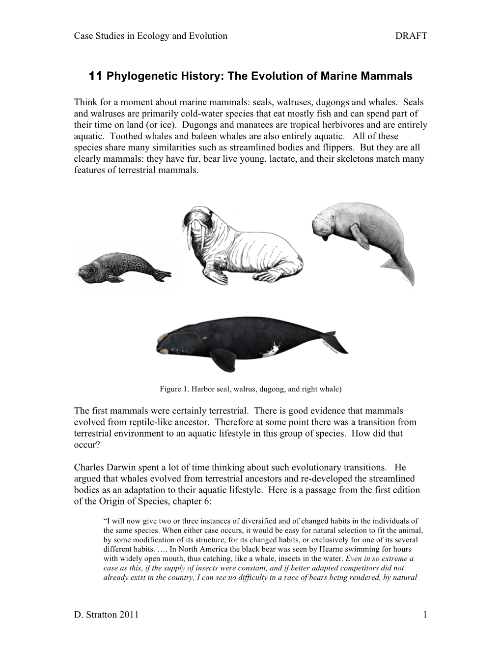 11 Phylogenetic History: the Evolution of Marine Mammals