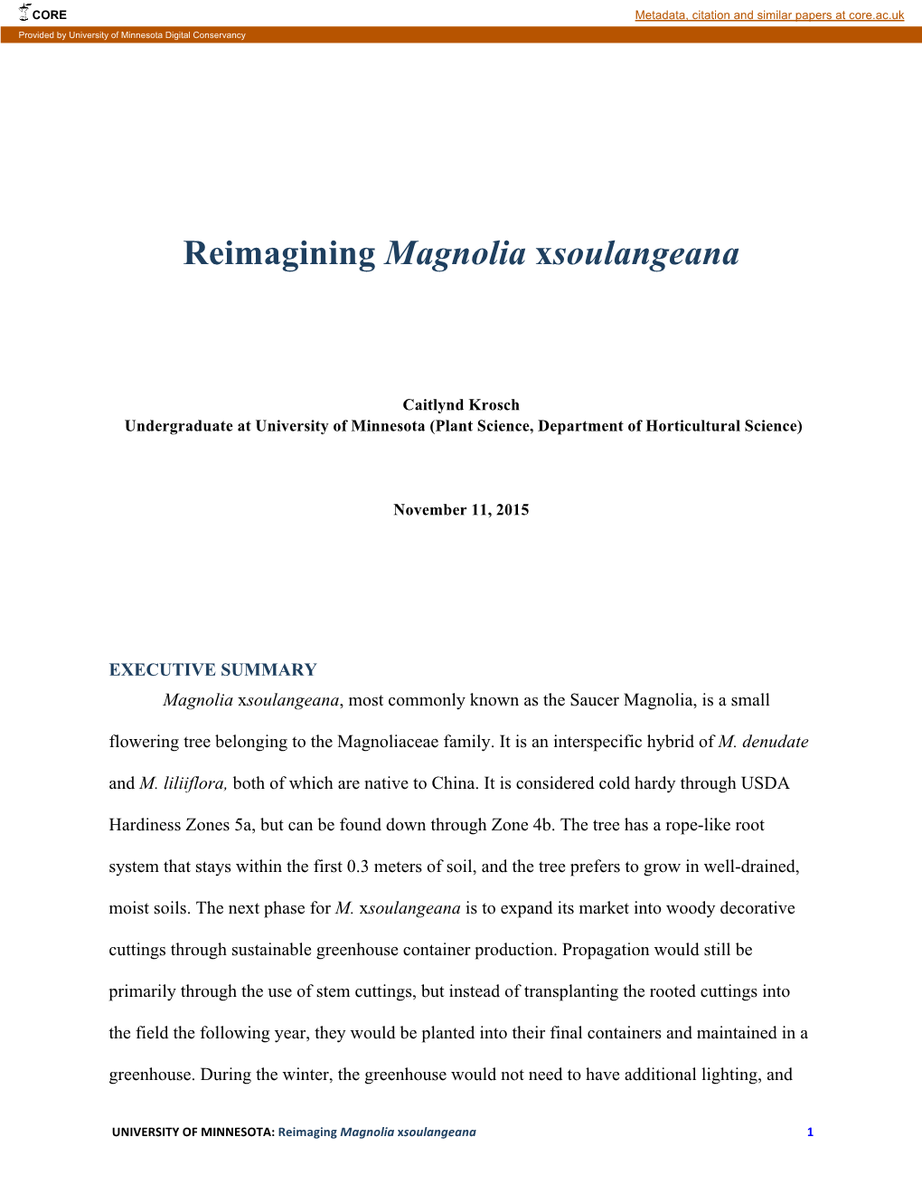 Reimagining Magnolia Xsoulangeana