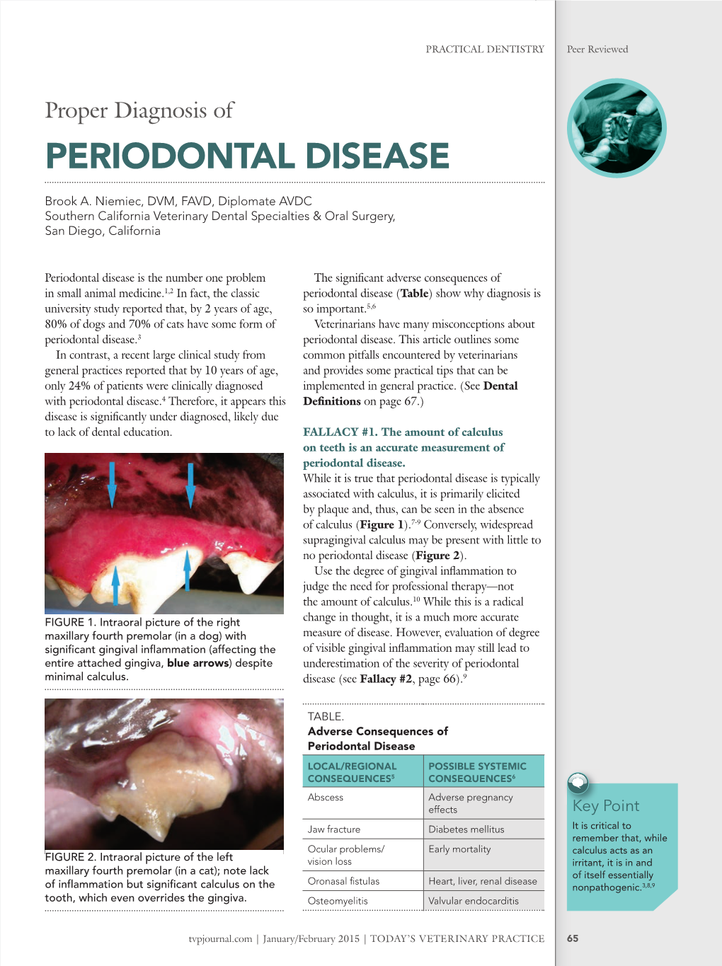 PERIODONTAL DISEASE Brook A