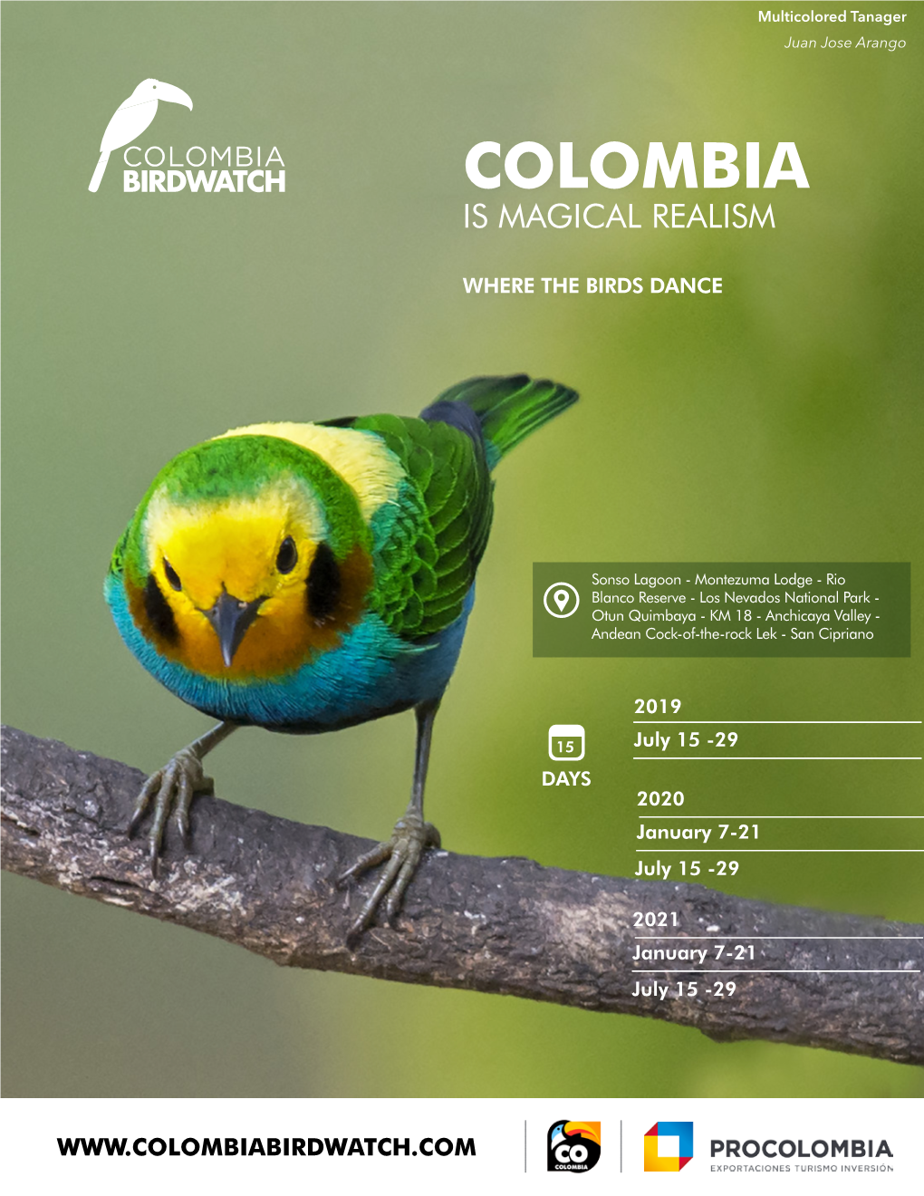 Colombia Birdwatch