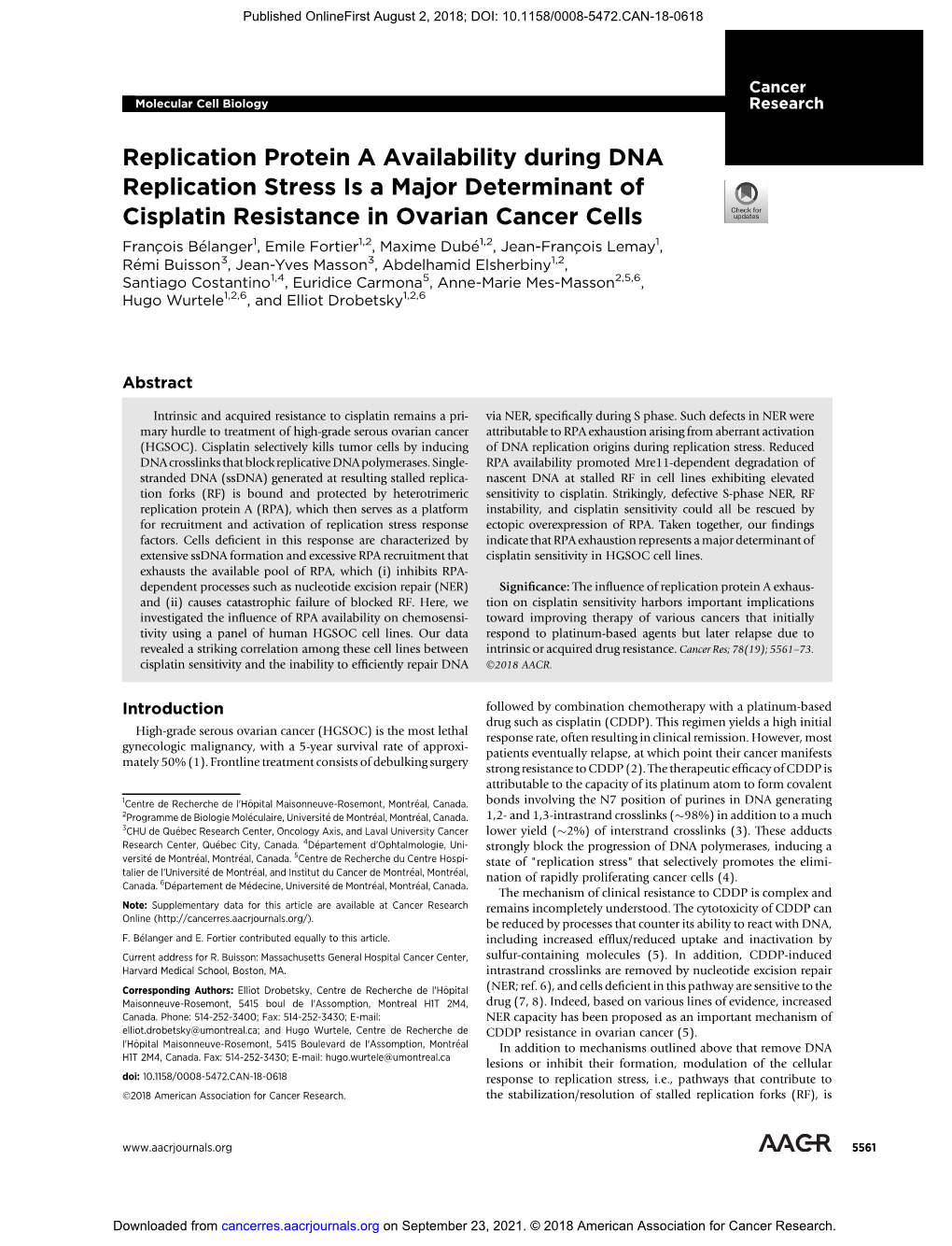 Replication Protein a Availability During DNA Replication Stress Is A