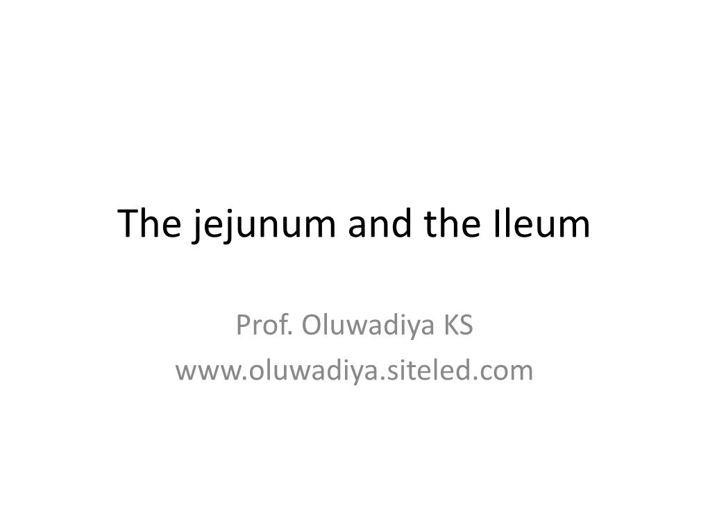 The Jejunum and the Ileum