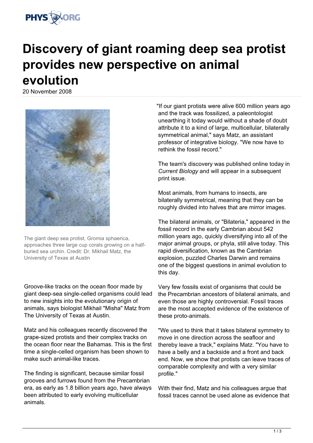 Discovery of Giant Roaming Deep Sea Protist Provides New Perspective on Animal Evolution 20 November 2008