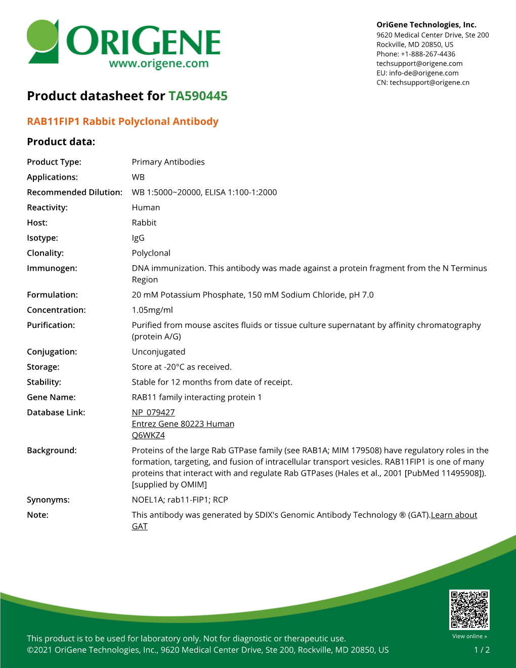 RAB11FIP1 Rabbit Polyclonal Antibody – TA590445 | Origene