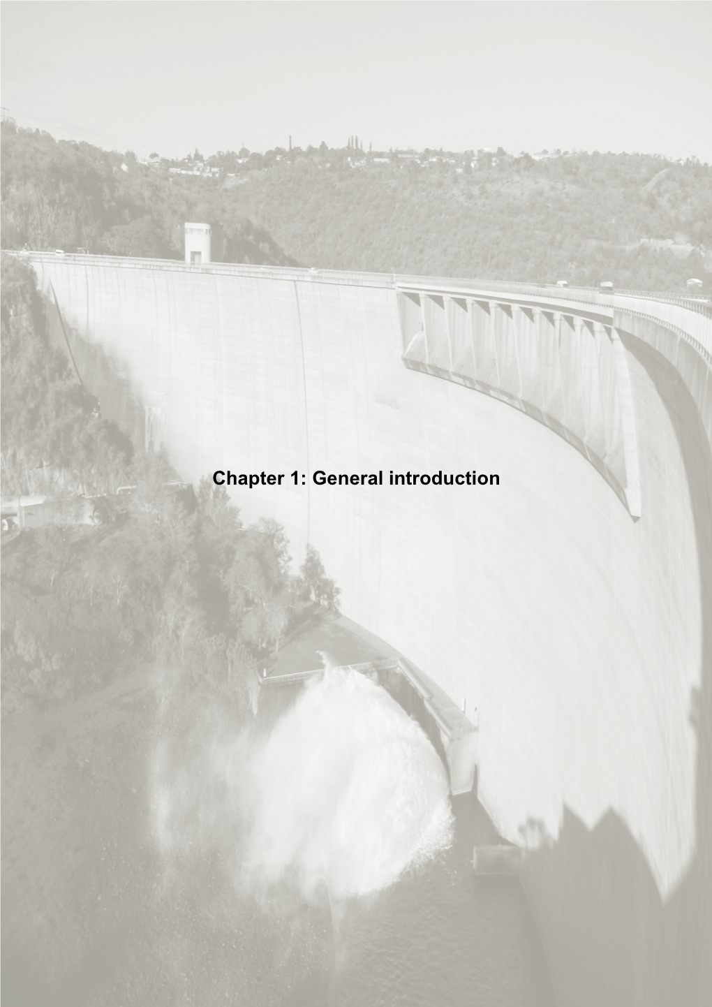 Chapter 1: General Introduction