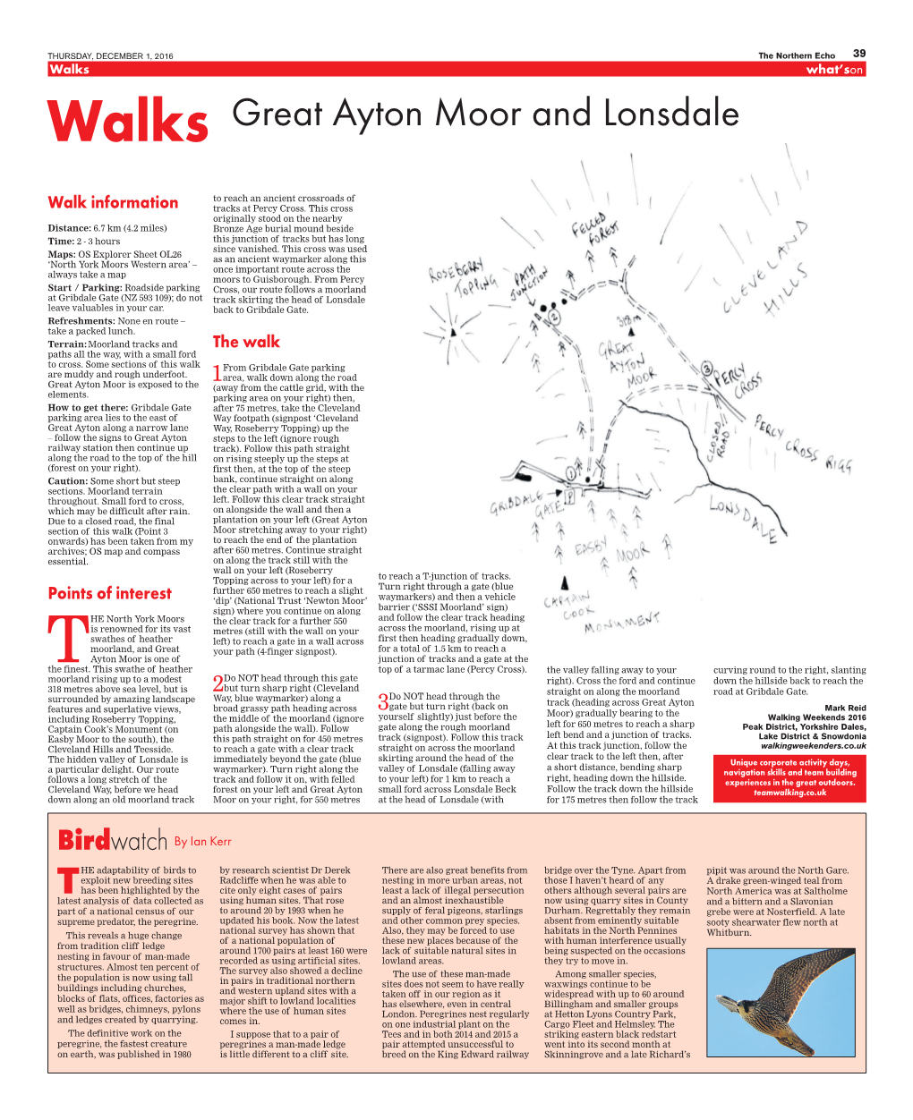 Great Ayton Moor and Lonsdale