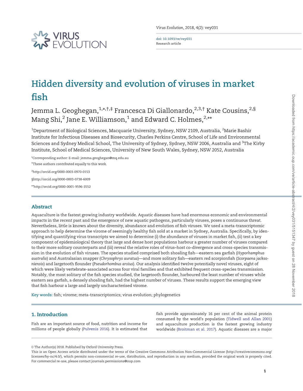 Hidden Diversity and Evolution of Viruses In