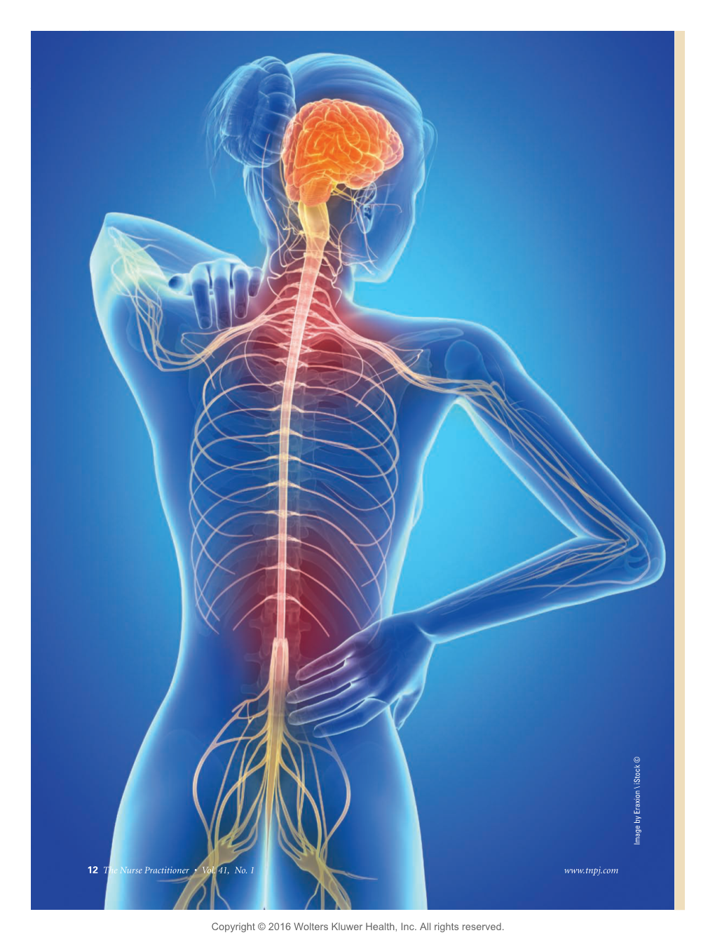 Treating Co-Occurring Chronic Low Back Pain & Generalized Anxiety