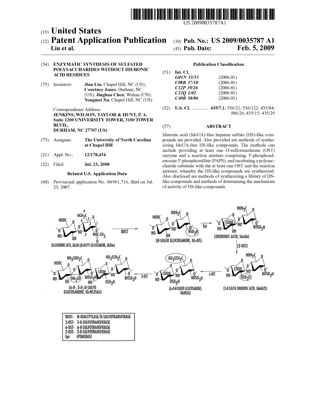 (12) Patent Application Publication (10) Pub. No.: US 2009/0035787 A1 Liu Et Al