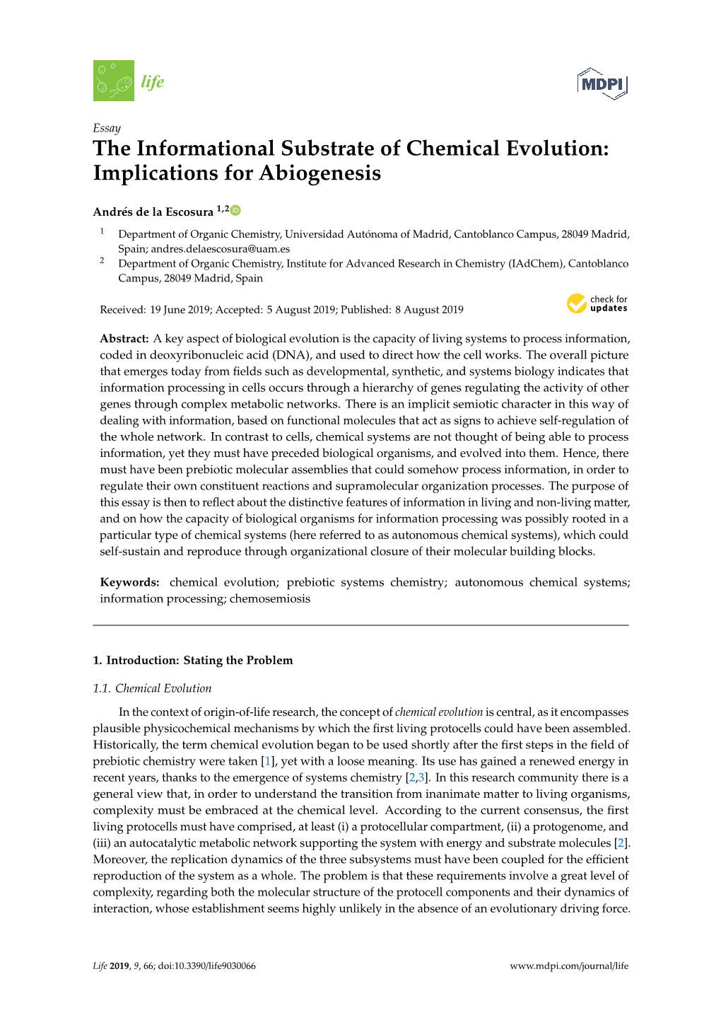 The Informational Substrate of Chemical Evolution: Implications for Abiogenesis