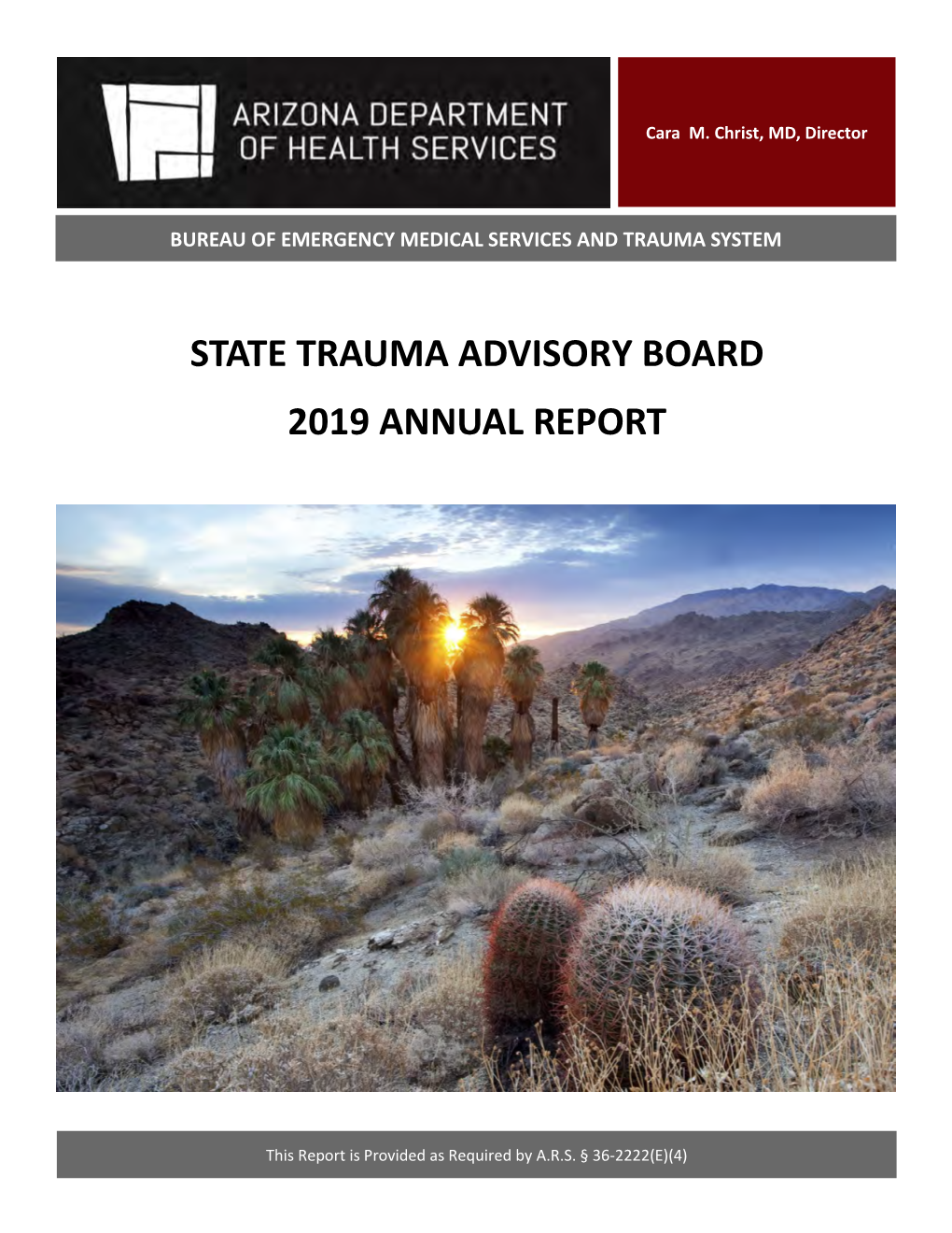 State Trauma Advisory Board 2019 Annual Report