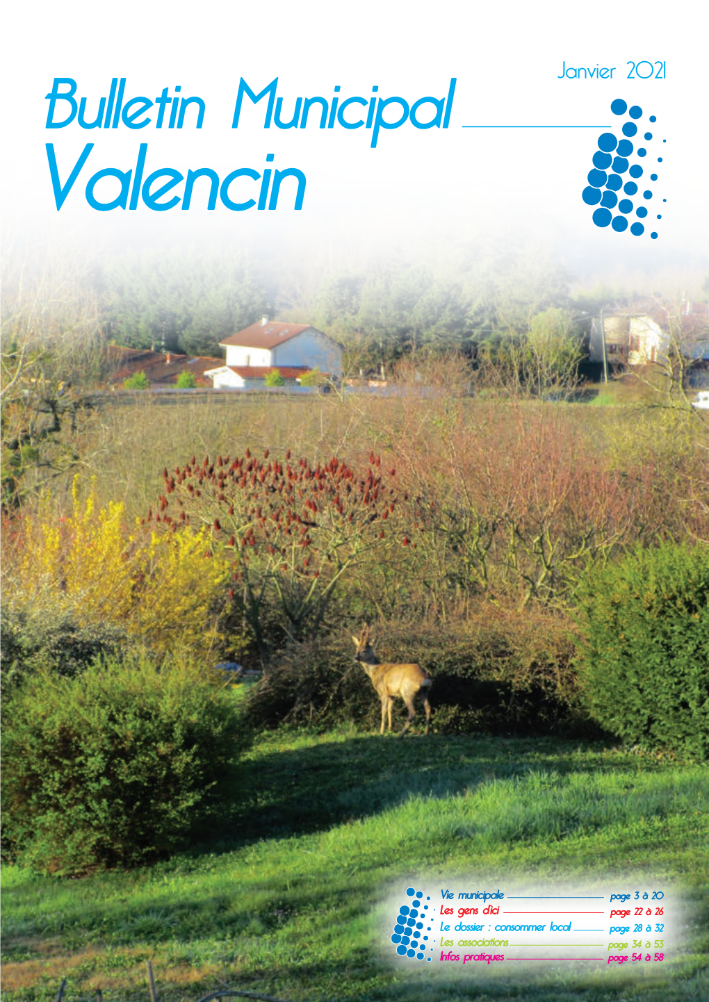 Bulletin Municipal Valencin