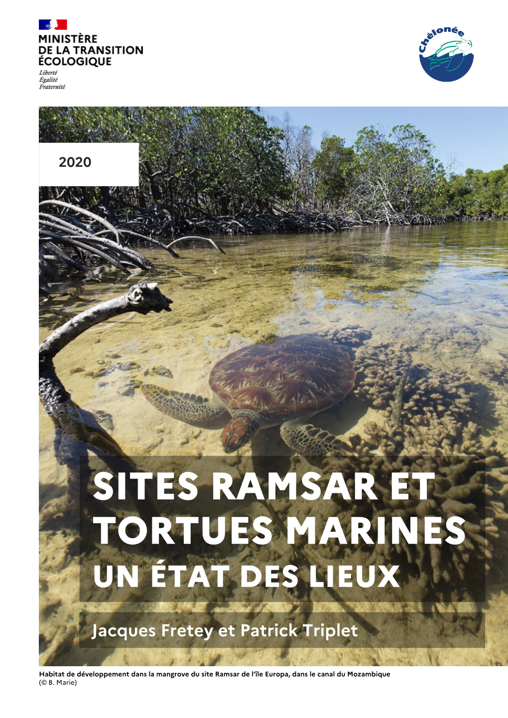 Sites Ramsar Et Tortues Marines Un État Des Lieux