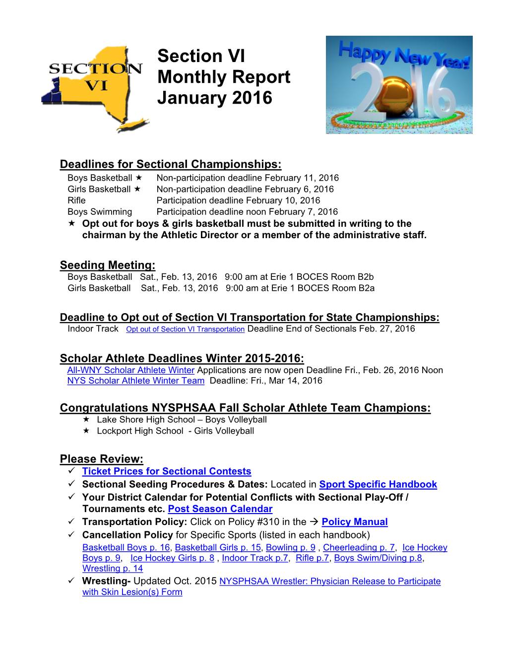 Section VI Monthly Report January 2016