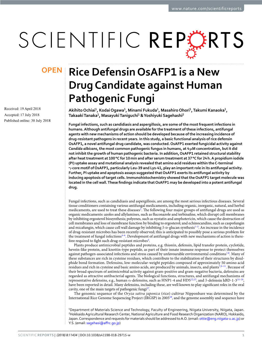 Rice Defensin Osafp1 Is a New Drug Candidate Against Human Pathogenic Fungi