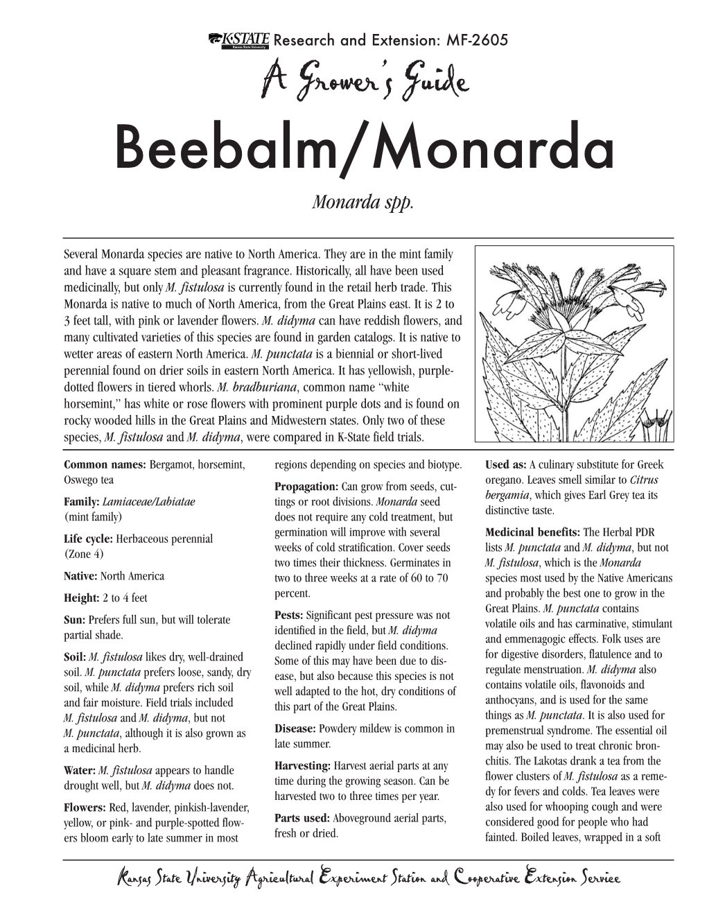 MF2605 Beebalm/Monarda