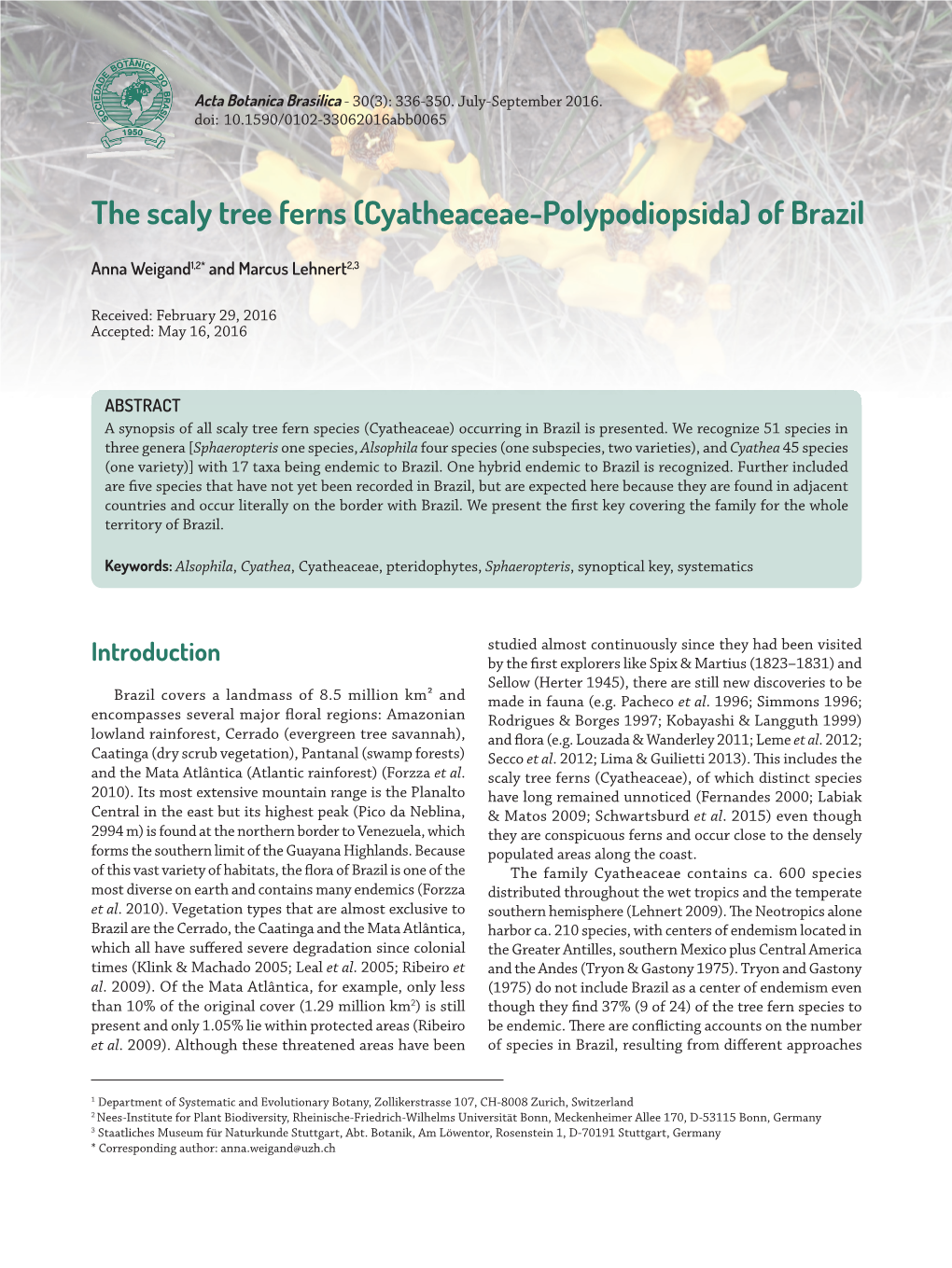 Cyatheaceae-Polypodiopsida) of Brazil