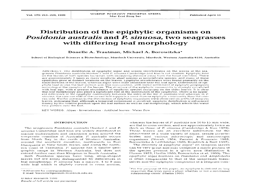 Distribution of the Epiphytic Organisms on Posidonia Australis and P