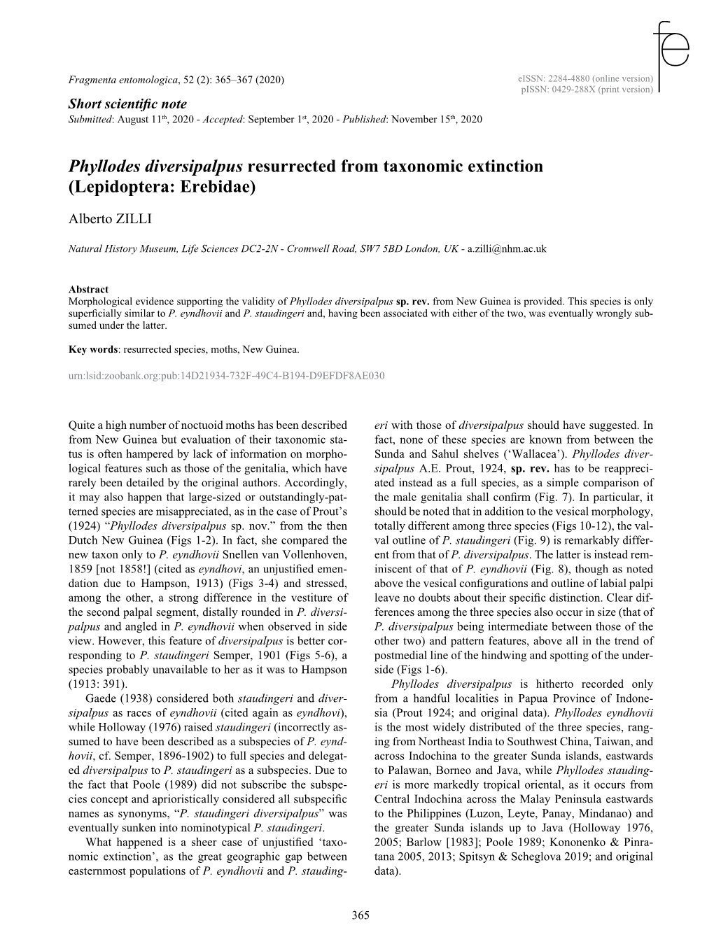 Phyllodes Diversipalpus Resurrected from Taxonomic Extinction (Lepidoptera: Erebidae)