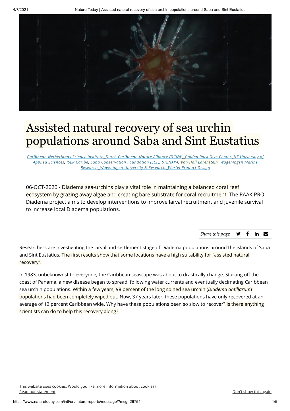 Assisted Natural Recovery of Sea Urchin Populations Around Saba and Sint Eustatius