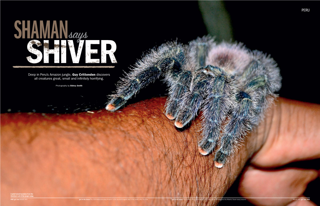 Deep in Peru's Amazon Jungle, Guy Crittenden Discovers All Creatures