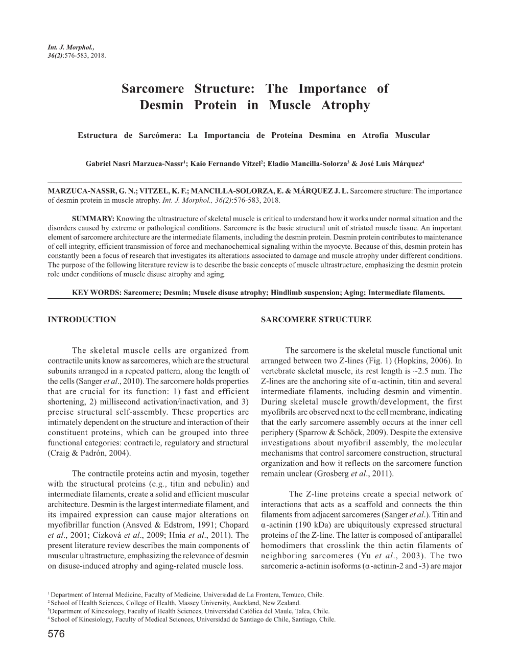 Sarcomere Structure: the Importance of Desmin Protein in Muscle Atrophy