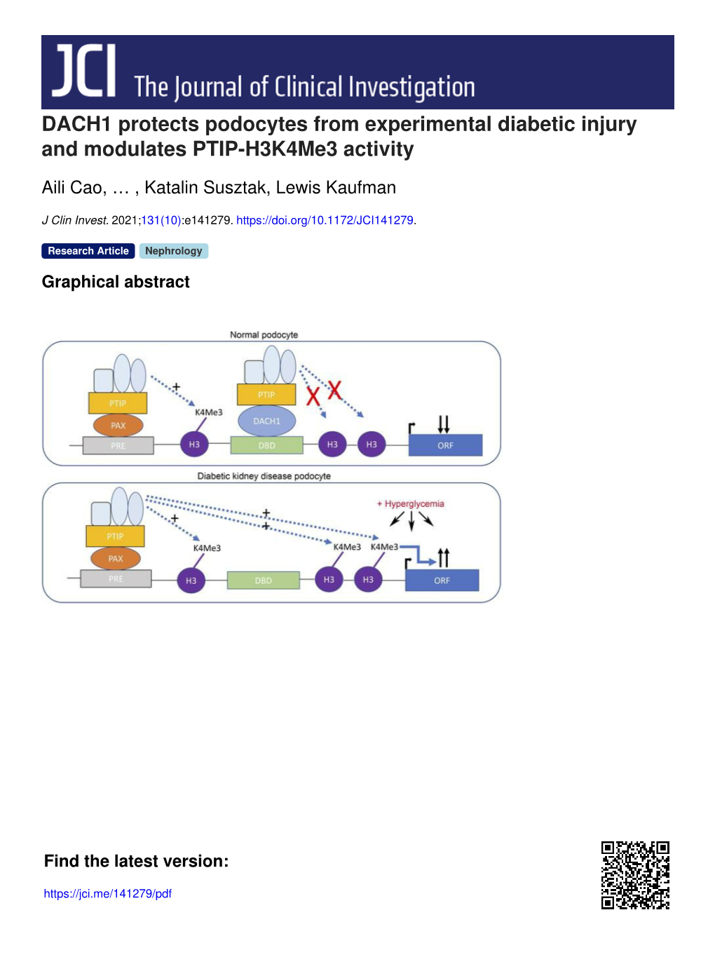 DACH1 Protects Podocytes from Experimental Diabetic Injury and Modulates PTIP-H3k4me3 Activity