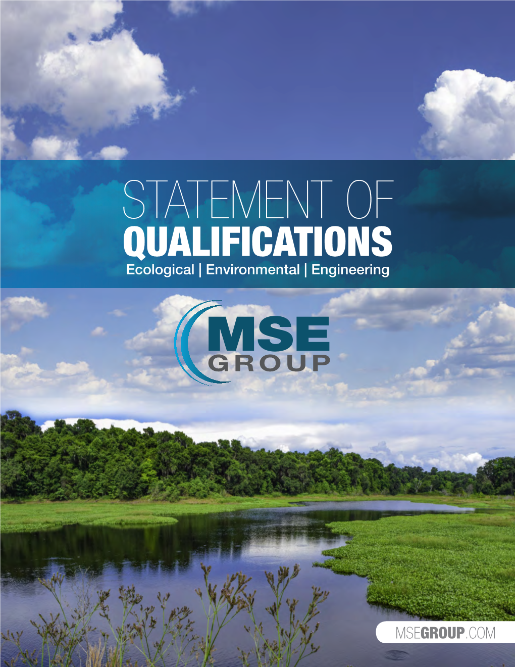 STATEMENT of QUALIFICATIONS Ecological | Environmental | Engineering