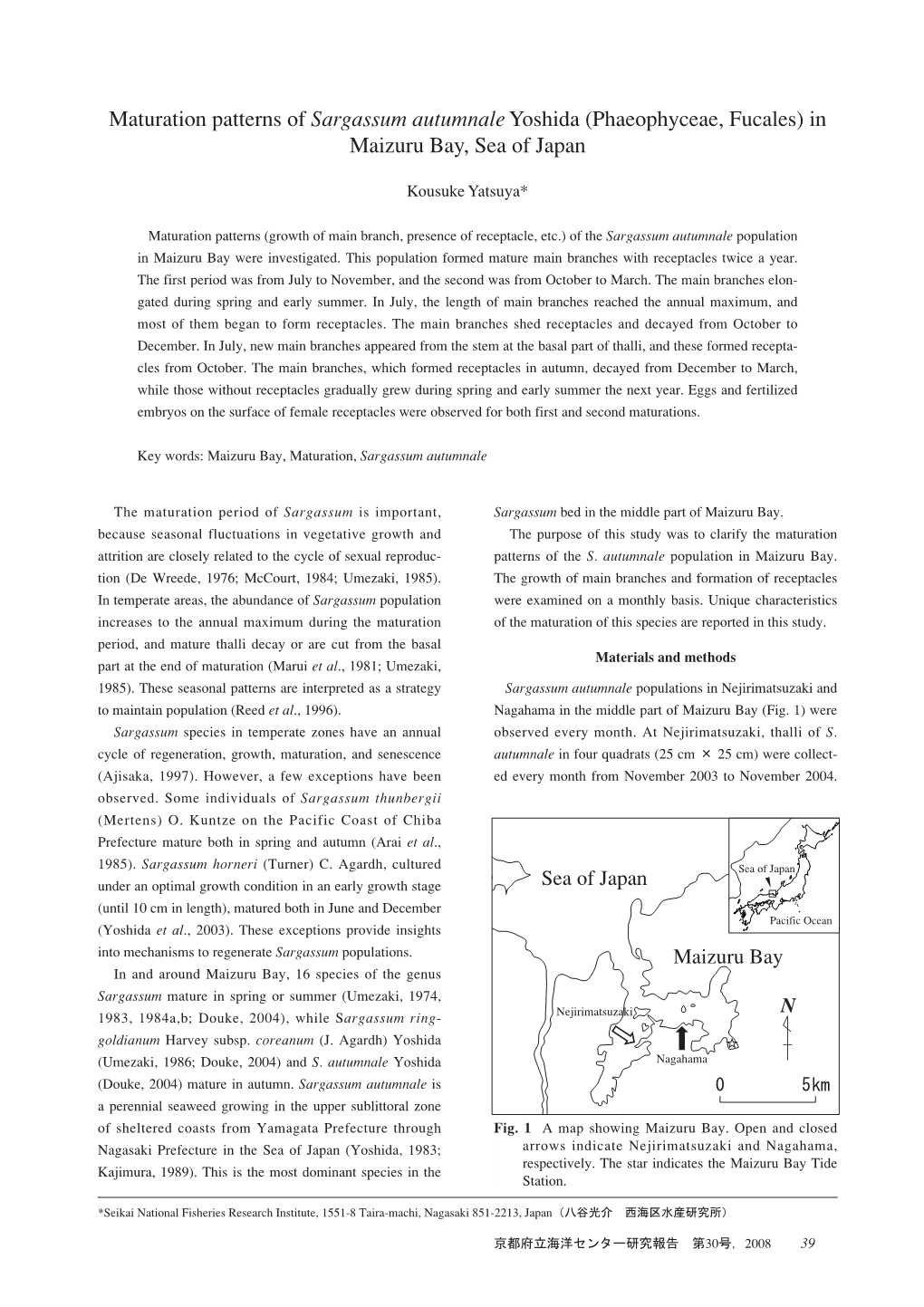 Maturation Patterns of Sargassum Autumnaleyoshida (Phaeophyceae