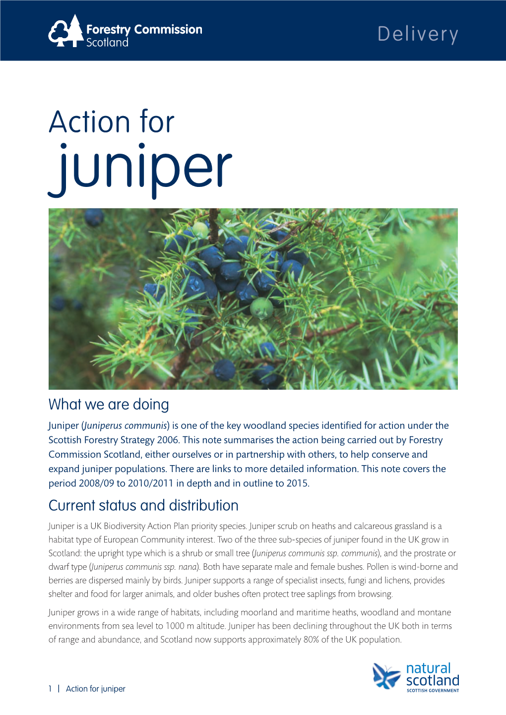 Action for Juniper