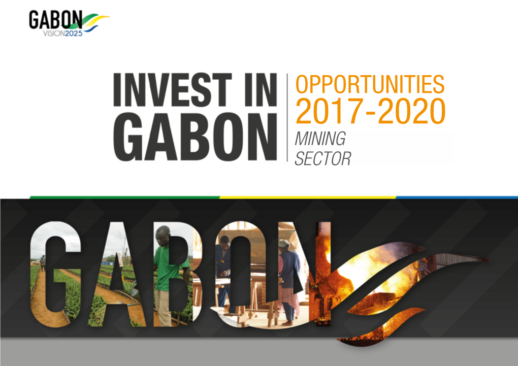 Opportunities 2017-2020 Mining Sector