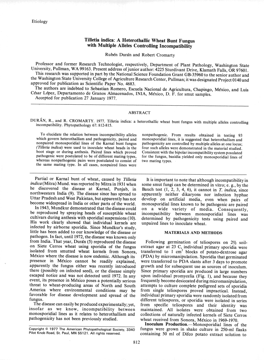 Tilletia Indica: a Heterothallic Wheat Bunt Fungus with Multiple Alleles Controlling Incompatibility