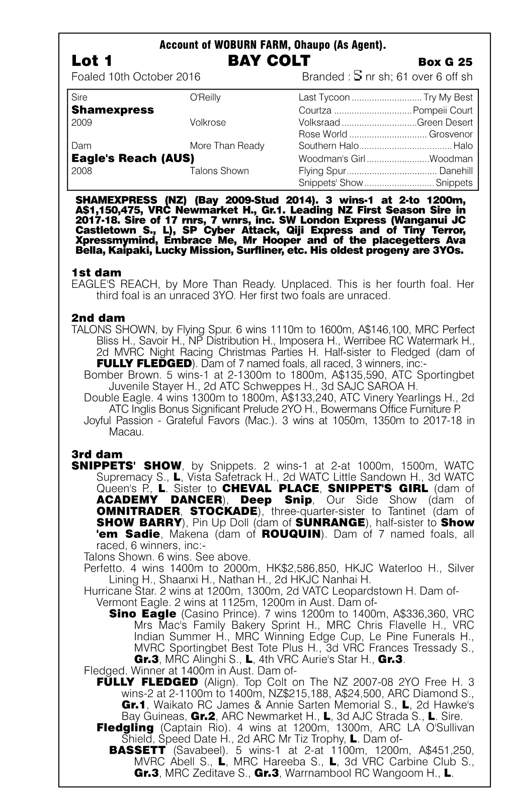 Lot 1 BAY COLT Box G 25 Foaled 10Th October 2016 Branded: Nrsh;61Over6 Offsh