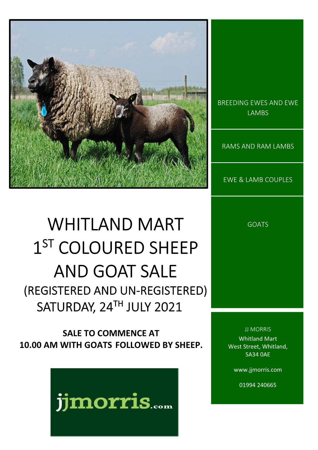 Whitland Mart 1St Coloured Sheep and Goat