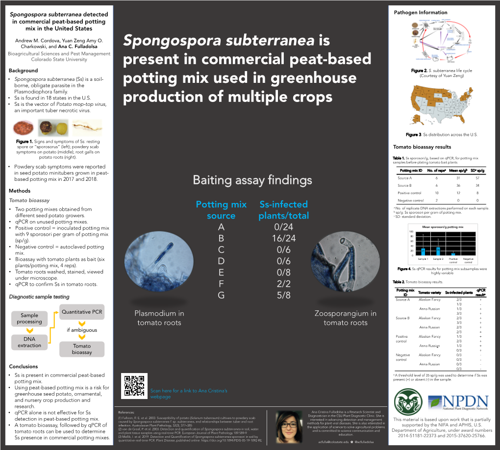 Spongospora Subterranea Detected Pathogen Information in Commercial Peat-Based Potting Mix in the United States