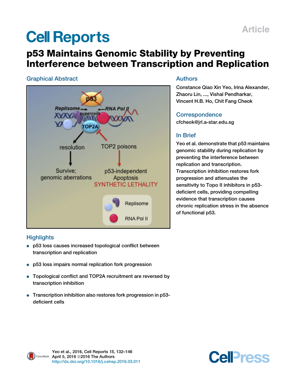 P53 Maintains Genomic Stability by Preventing Interference Between Transcription and Replication